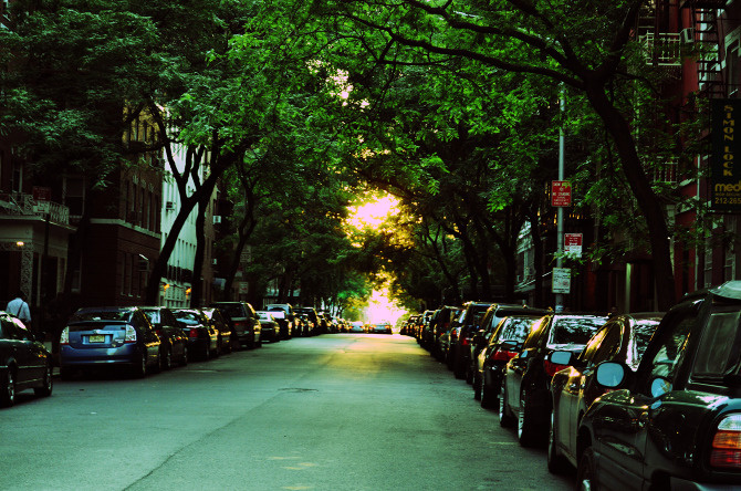 nyc #city #street #dusk #cars #newyork #nyc #trees #manhattan #photography