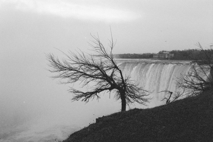 Niagara #photo #waterfall #tree