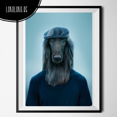 #animals #clothe#fashion #hipster #dog #poster