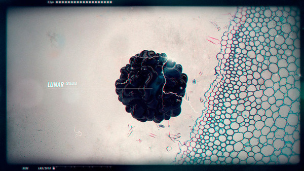 Nike #boards #motion #design
