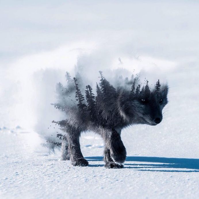 Playful and Dreamlike Photo Manipulations by Shaylin Wallace