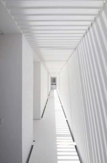 Every reform movement has a lunatic fringe #photography #architecture