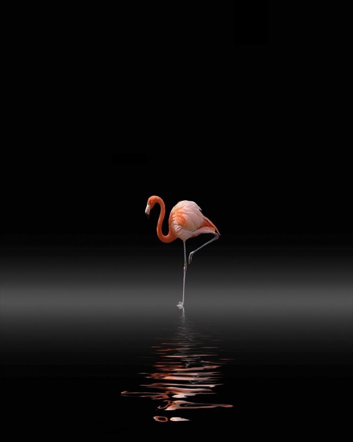 Minimalist and Cinematic iPhone Photography by Dirk Fleischmann