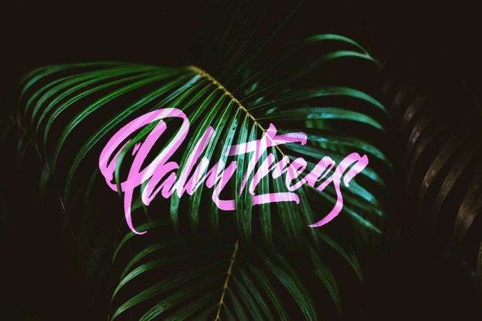 Palm Trees. ✍