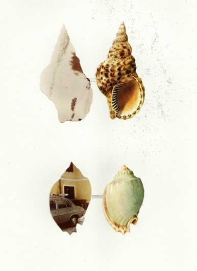 The Strange Attractor #knockout #photo #shells