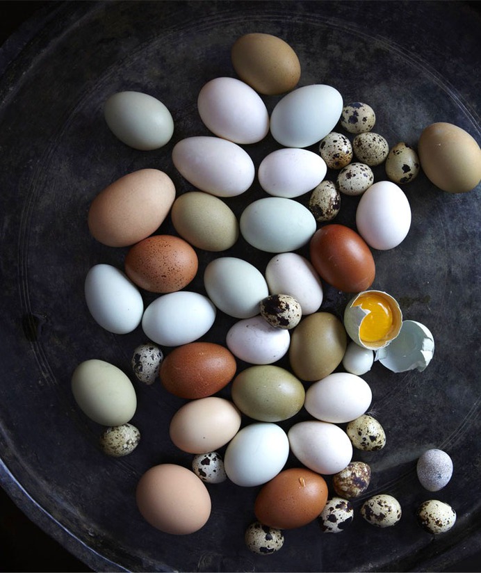 Easter Decorations, Egg Designs & Ideas 2019/2020 #Easter #decor #ideas #homedecor #diy