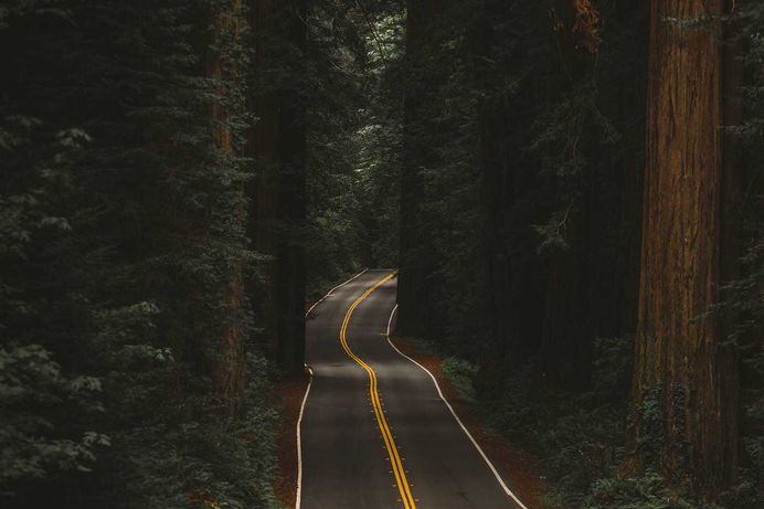 Roadtripping Oregon: A Visual Journey Through Oregon by Julia Nimke