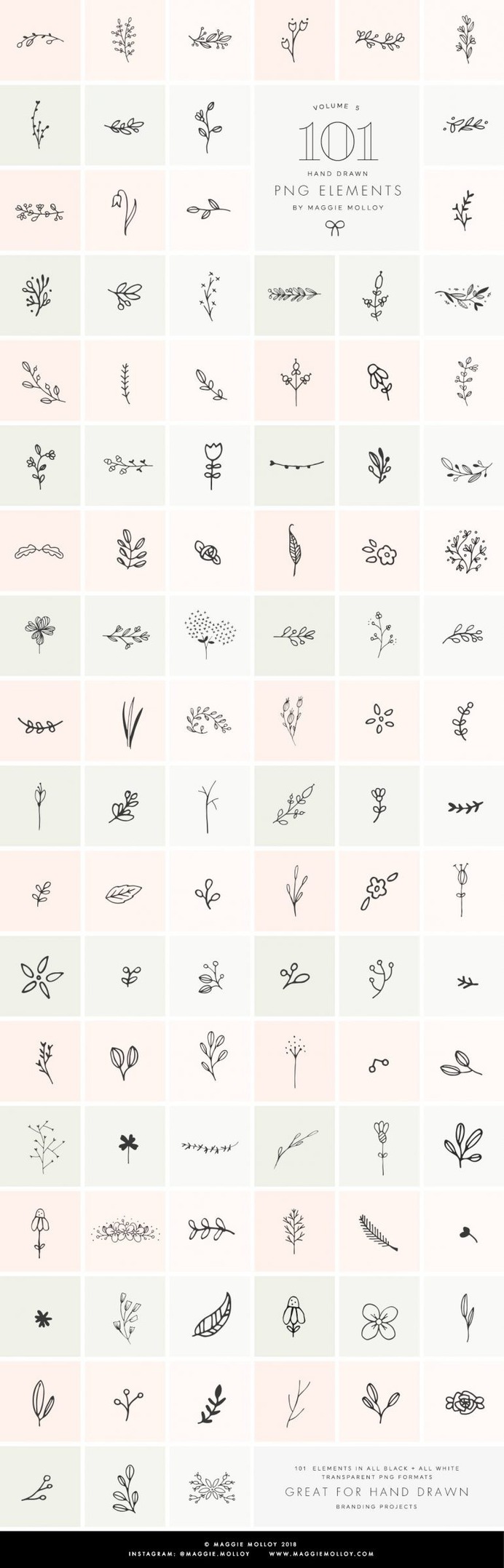 PNG 101 Hand Drawn Botanical Element