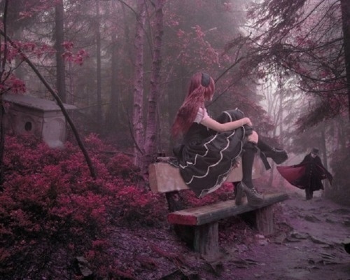 Fairy Tale #photography #fairy