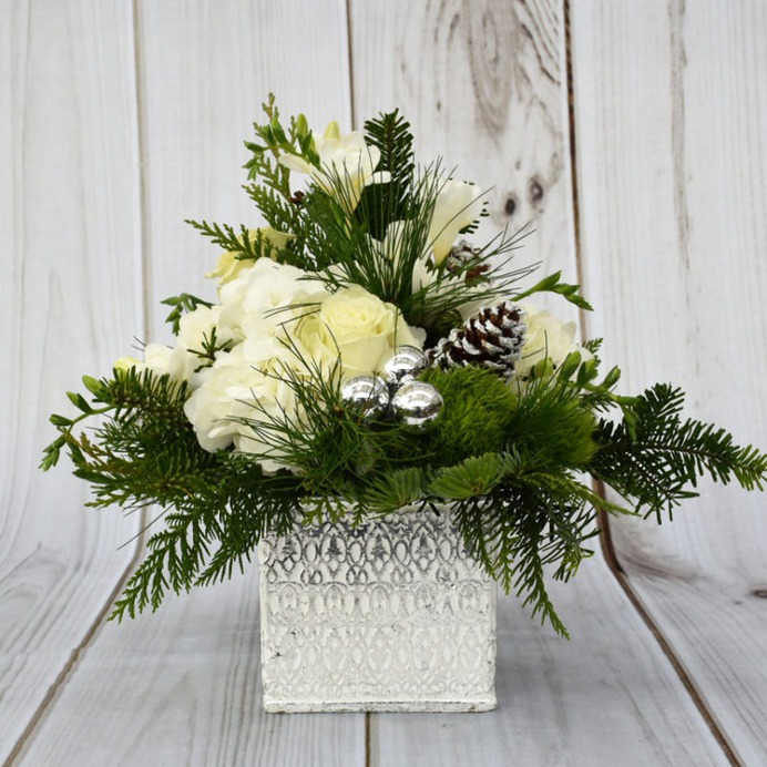 BRING WARMTH TO YOUR HOME THIS SEASON WITH THIS WHITE + SILVER TEXTURED POTTED ARRANGEMENT OF ASSORTED CHRISTMAS GREENS, FUJI MUMS AND CHEERFUL FROSTED PINECONES