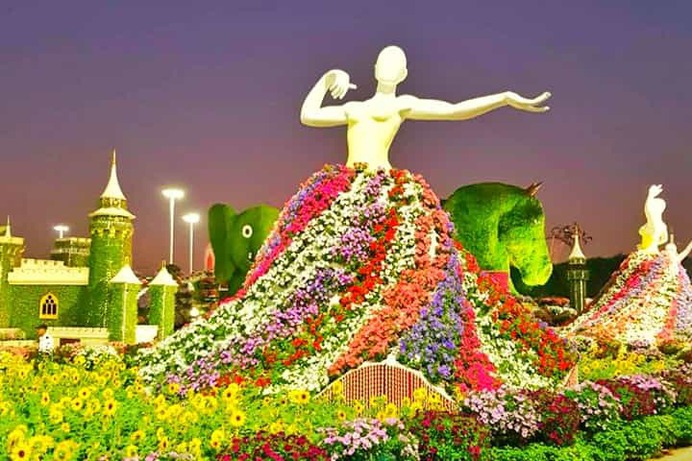 Ballet Dancers are the most video captured floral theme at the Dubai Miracle Garden. They are very popular among the female visitors of the Dubai Miracle Garden.