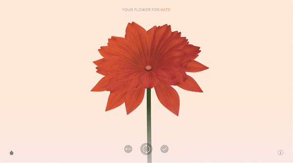 Wildflower
