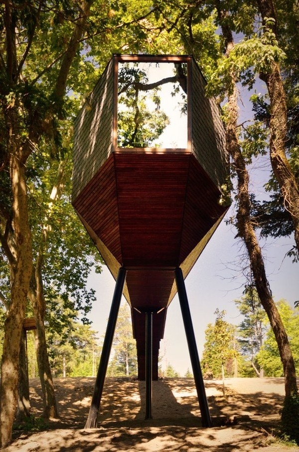 Tree Snake House11 #architecture #house #tree