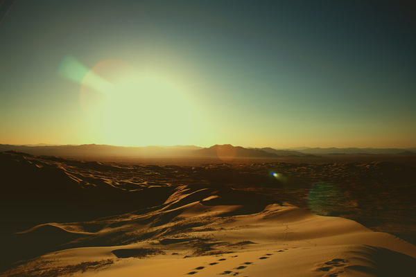 mojavedesertweb #photography #mojave #desert