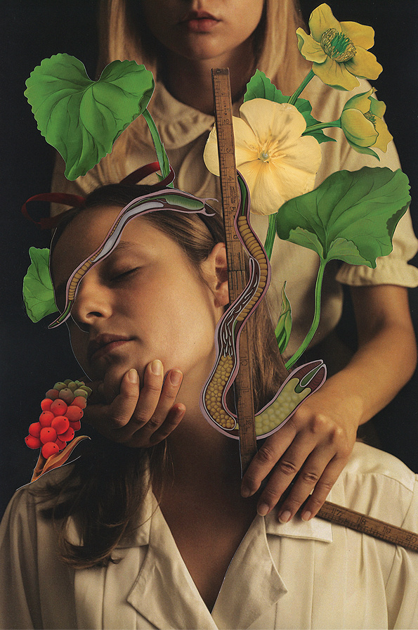 Magdalena Franczuk & Ashkan Honarvar | PICDIT #photo #collage #design #art