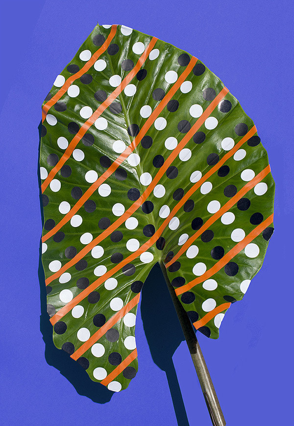 Sarah Illenberger | PICDIT