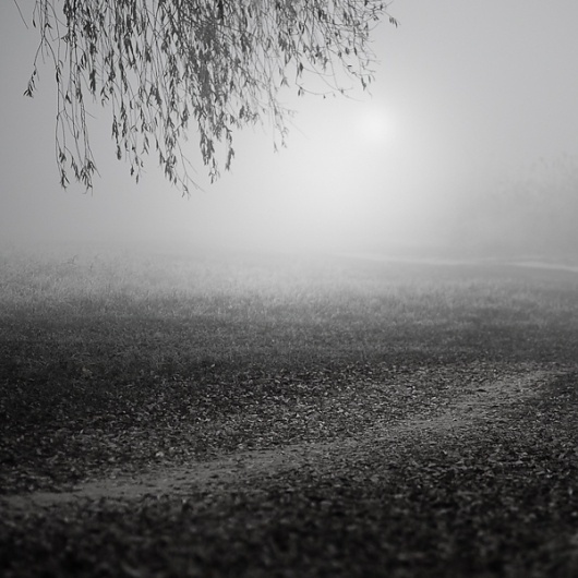 Such A Quick Walk #4, photography by Zoltan Bekefy