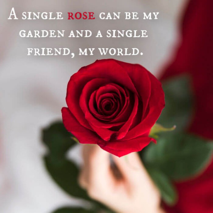 rose day 2020 messages