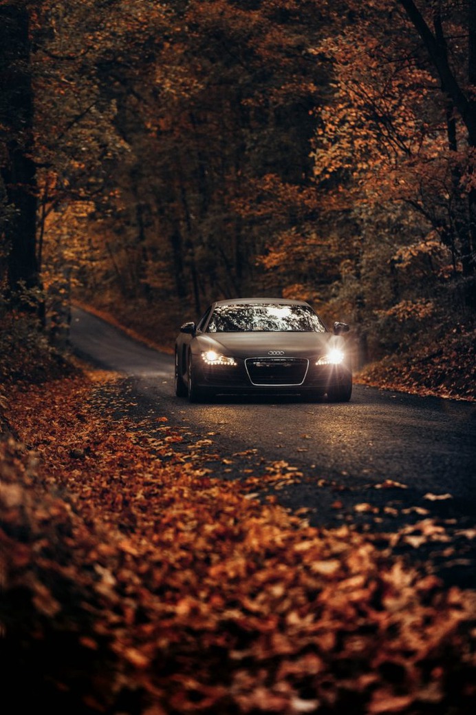 Leesburg, United States – Fall Drives on Country Roads