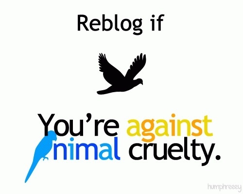 imgfave - amazing and inspiring images #cruelty