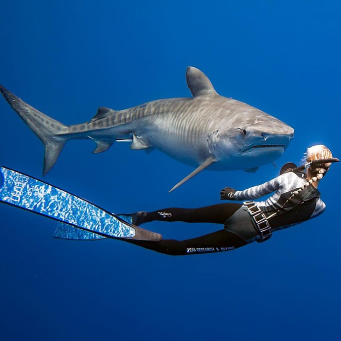 Incredible Underwater Photography by Juan Oliphant