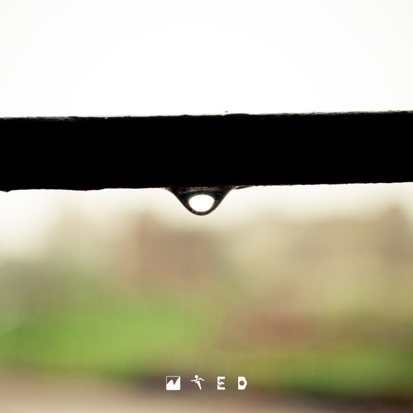 Drop #rain #water #drop #infected gallery
