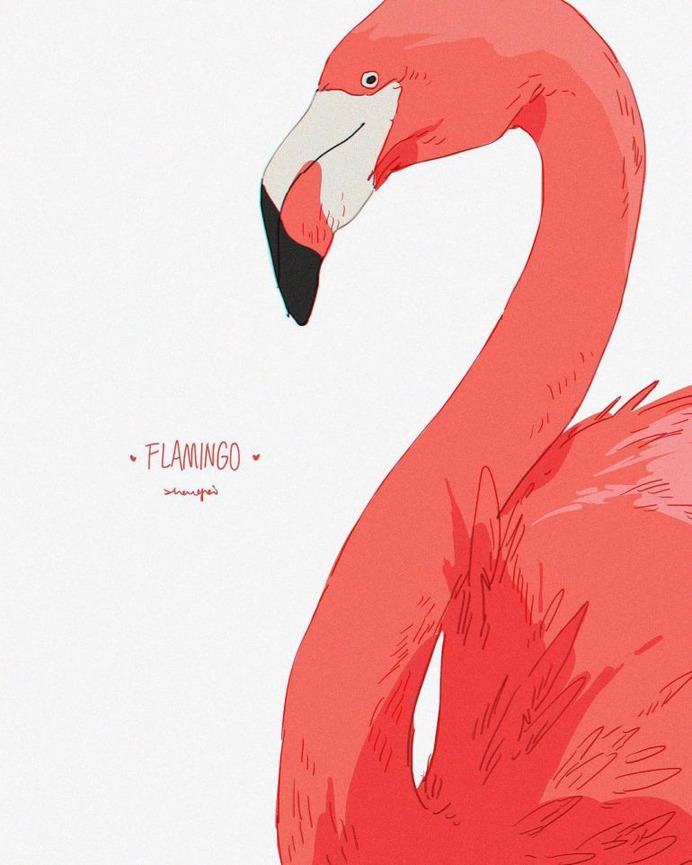 Flamingo