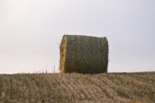 Haybale-horizon.png 660×439 pixels #bale #chris #dusk #hannah #photography #countryside #farm #scotland #hay