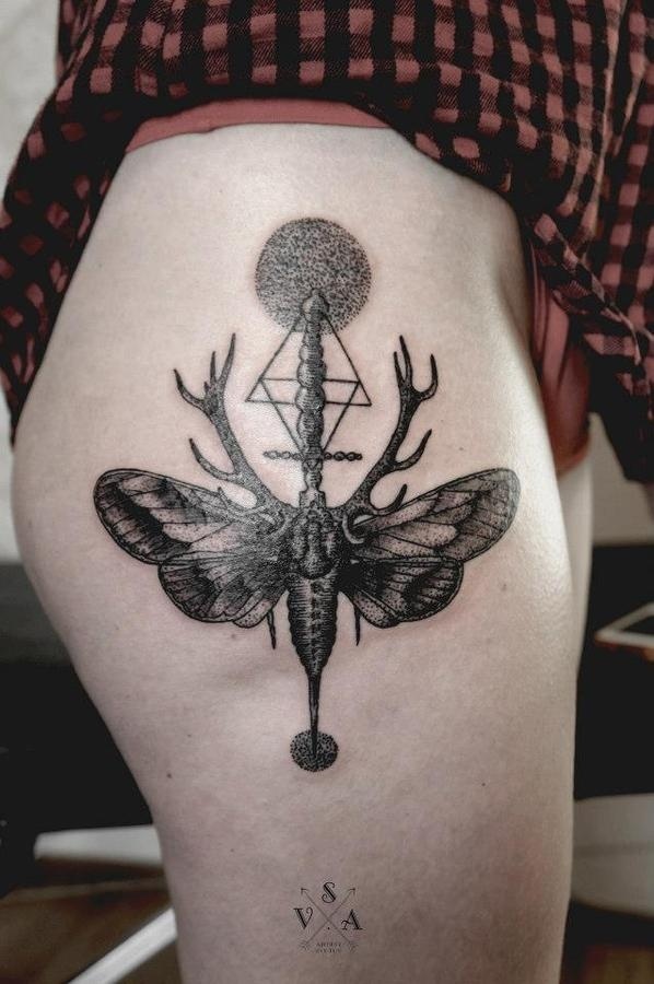 Pinned Image #moth #antler