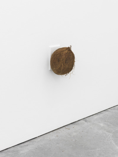 Dominic Samsworth Thinking on our Backs, 2015 Coconut, air freshener and scent 6 x 4 inches