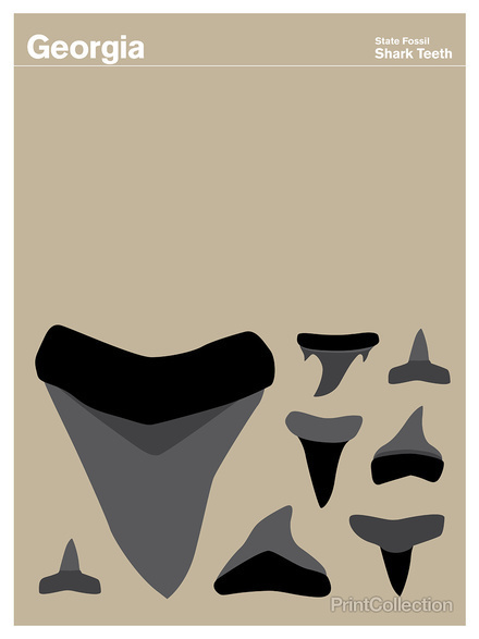 Georgia #teeth #tan #shark #black #grey