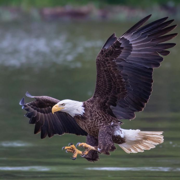 #birdfreaks: Striking Bird Photography by Adam Berry