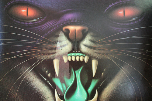 Julien Mosciatti #cat