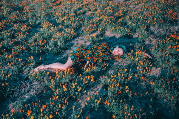 Benjamin Heath | PICDIT