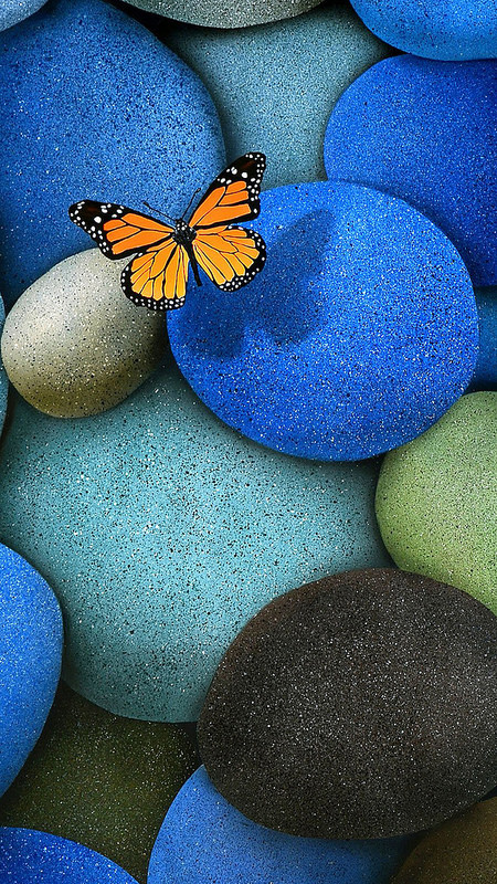 Butterfly and Stone iOS Wallpaper
