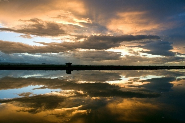 Photographer Pier Luigi #inspiration #photography