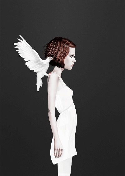 Ruben Ireland #girl #dove #bird #illustration #fly #angel #art #and #dark #wings #light