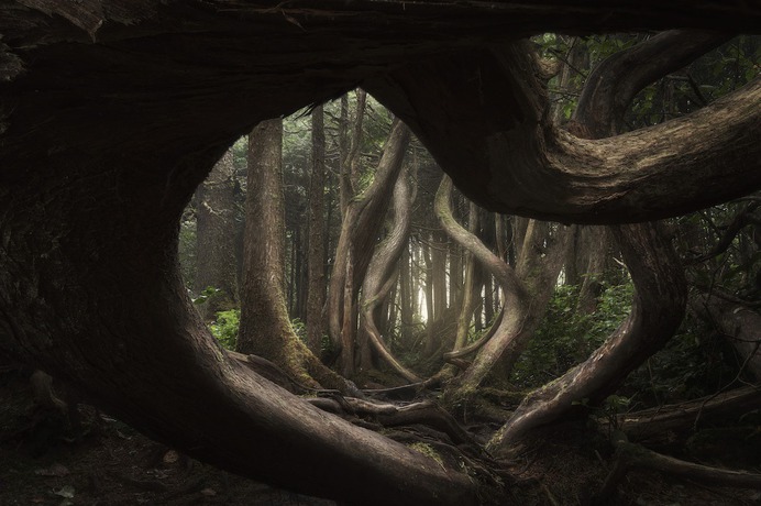 Stunning WInners of The 2018 International Landscape Photographer Of The Year Contest