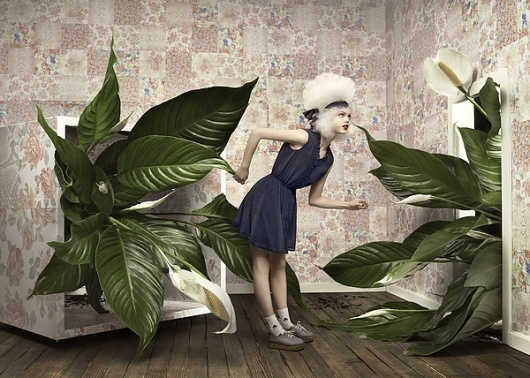 Monki Styles on the Behance Network