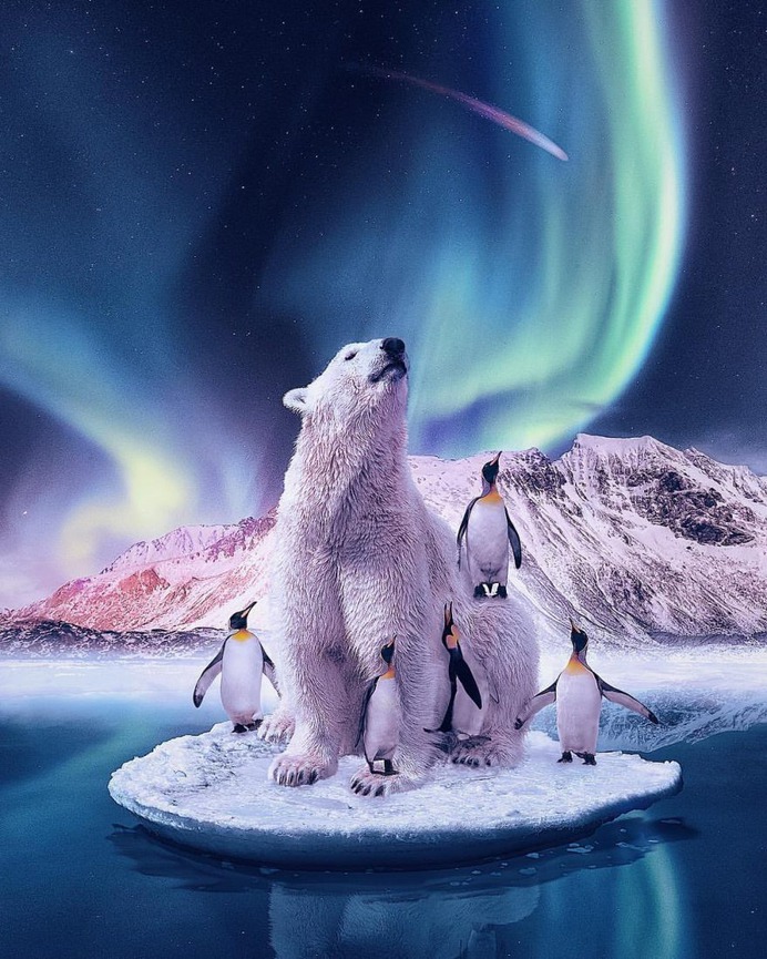 Surreal and Dreamlike Photo Manipulations by Andreas Häggkvist