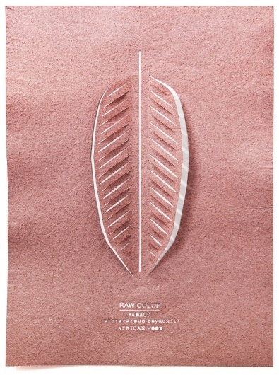 RAW COLOR #poster #texture