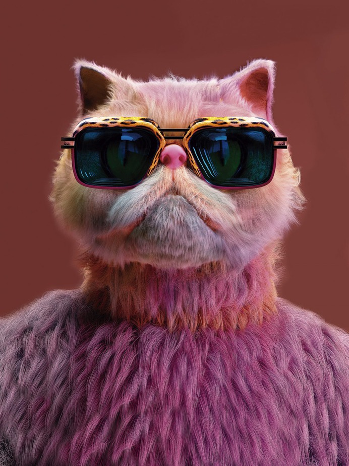 Fashion Cats