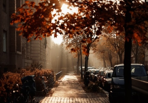 Iloveimgs #autumn