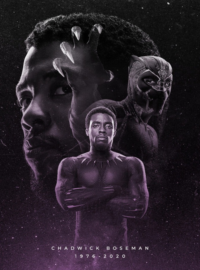 Black Panther tribute poster by rahalarts