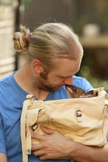 167926_10150131198261015_361978131014_8023228_764013_n.jpg (427×640) #i #wallaby #mitt #photography #animal #baby #naturen