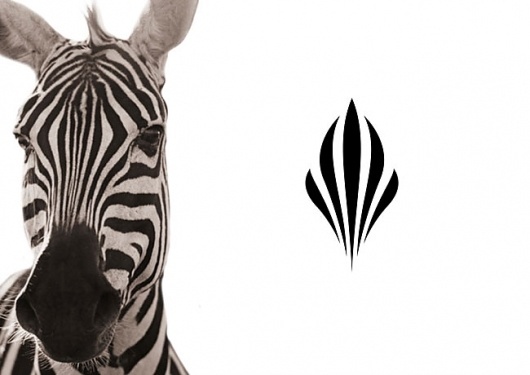 Sankara | Identity Designed #form #logo #zebra #symbol #symmetry