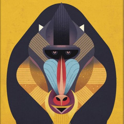Monkey Illustration by Dieter Braun #illustration #animal #monkey #iconic #geometric