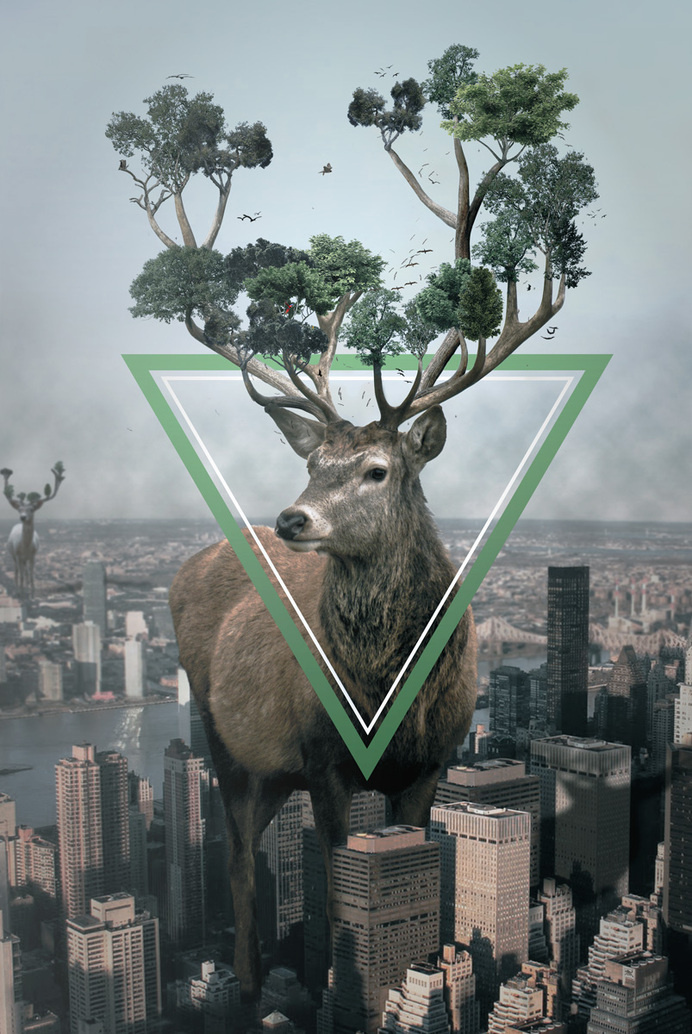 RAWZ #deer #tree #photo #city #design #stag #grow #triangle #nature #manipulation #massive #photography #tall #collage #animal #beauty
