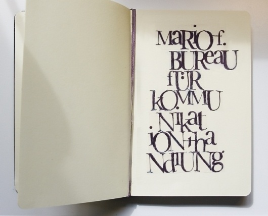 herrschroeder.net #mario #handdrawn #herrschroeder #swashes #type #net #typography
