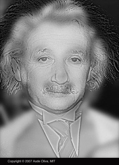 Monroe Einstein Large #albert #aude #monroe #mit #hybrid #image #oliva #einstein #marilyn